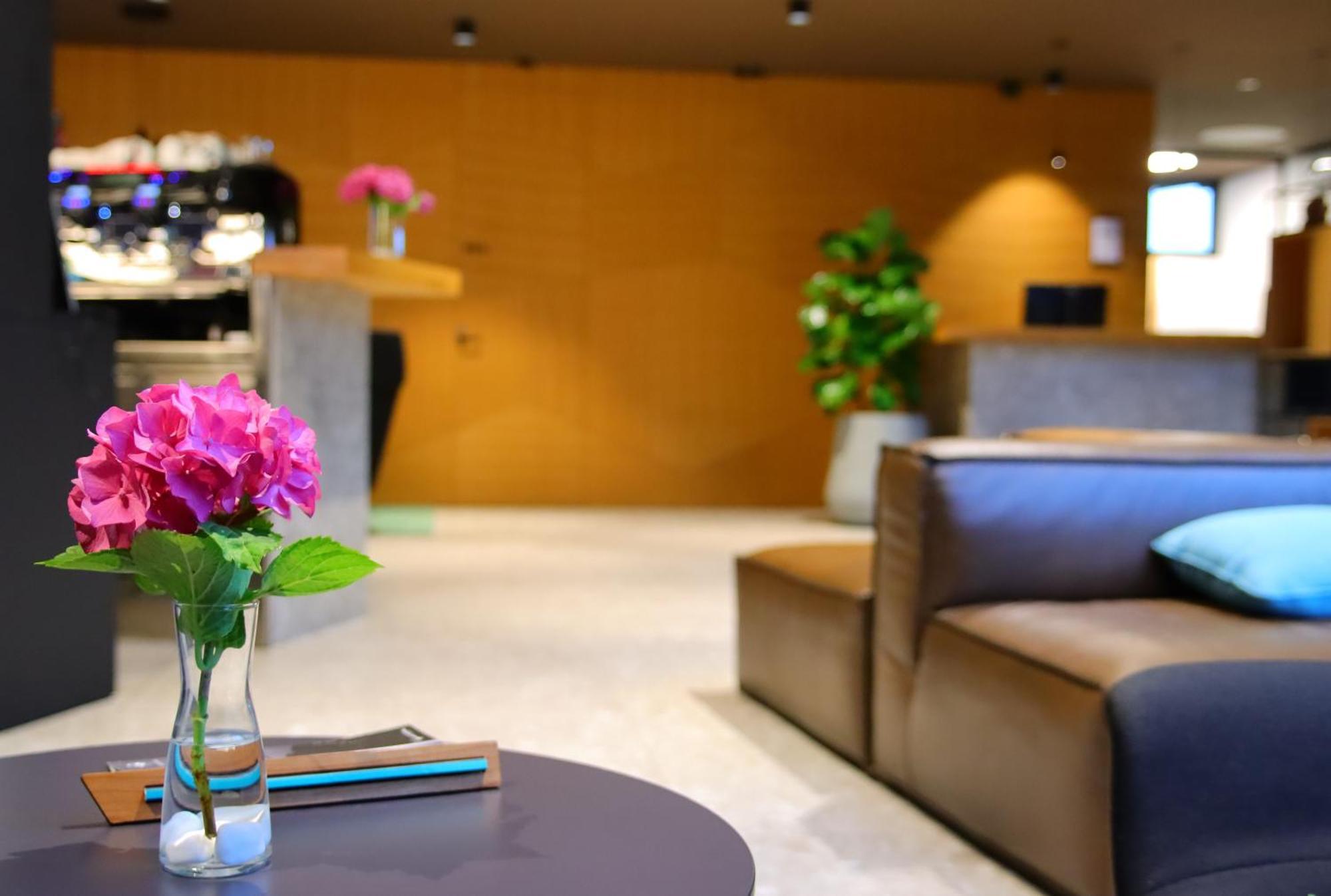 Hotel Soca 博维茨 外观 照片